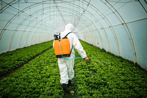 Best Best Pest Control Companies  in La Mesilla, NM