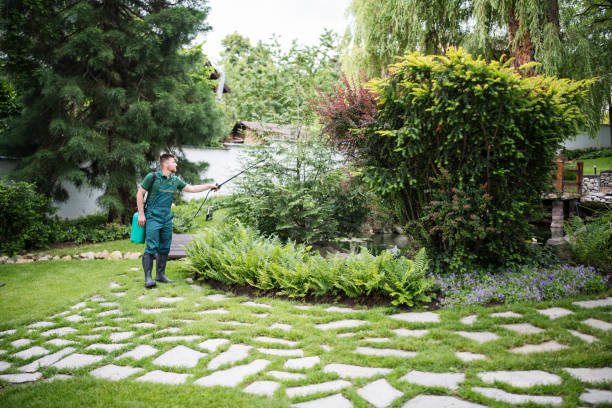 Pest Control Cost in La Mesilla, NM