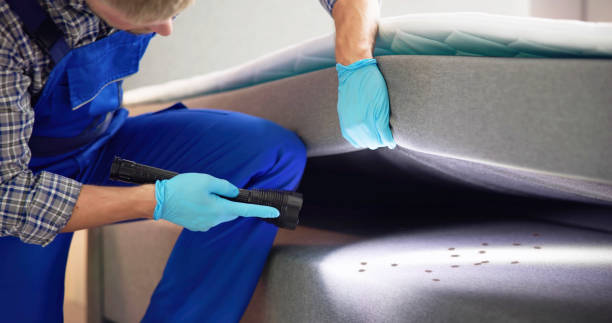 Best Best Pest Control Companies  in La Mesilla, NM