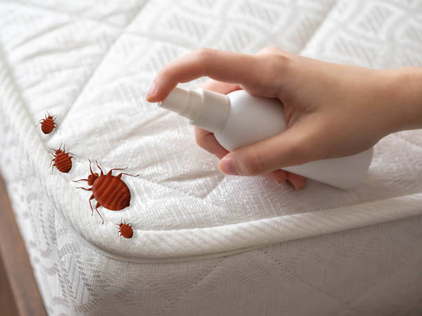 Professional Pest Control in La Mesilla, NM